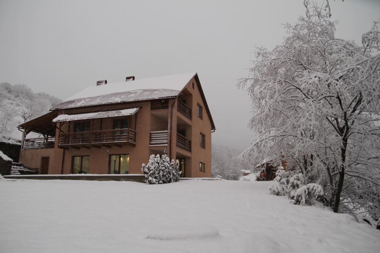 Купецький Двір Hotel Mizhhirya  Eksteriør billede