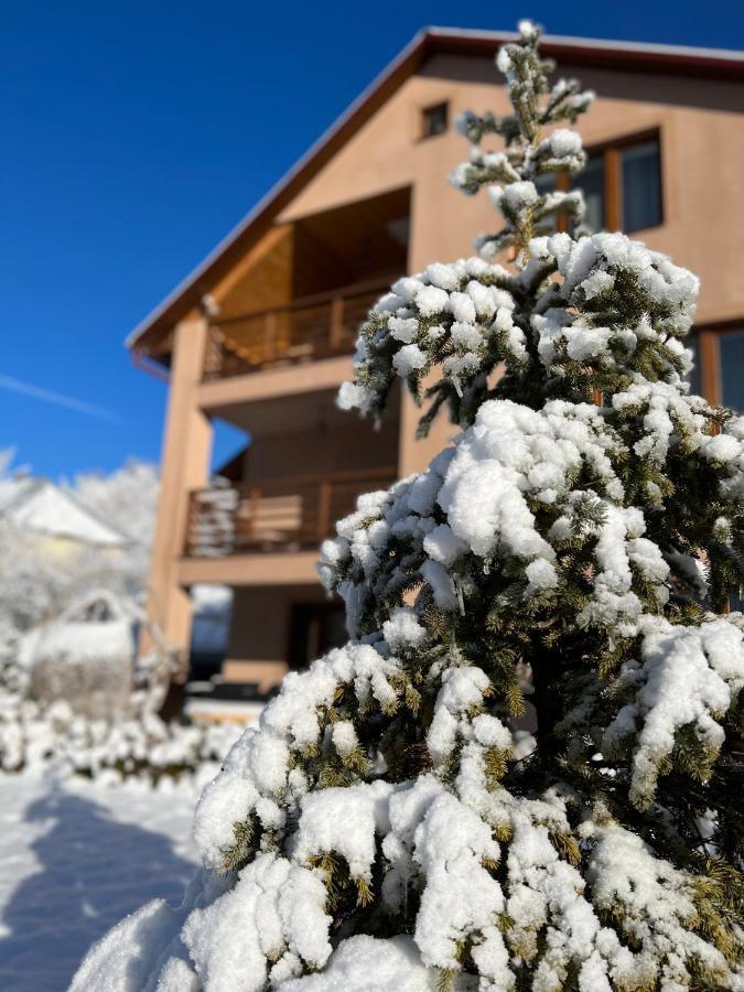 Купецький Двір Hotel Mizhhirya  Eksteriør billede